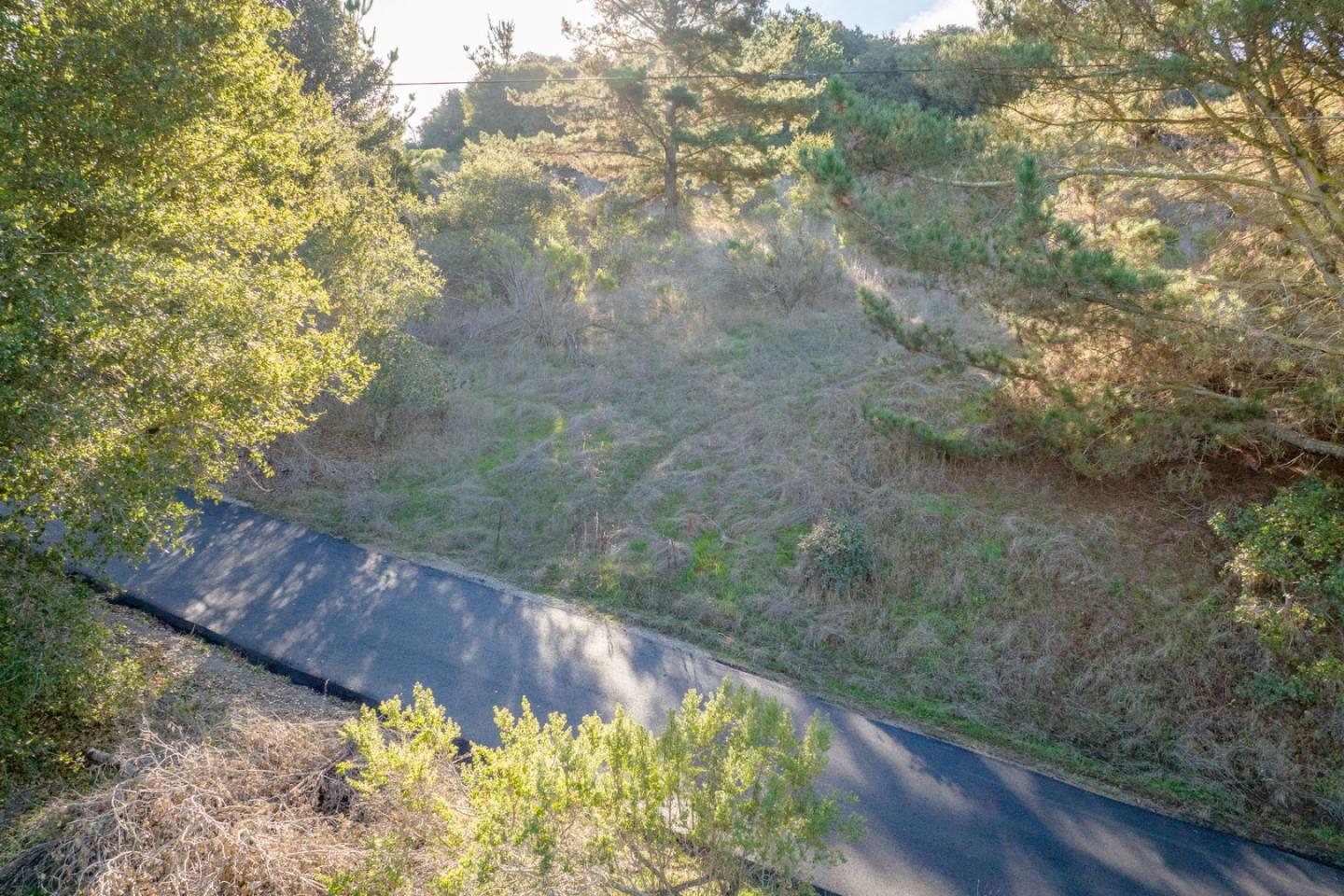 19378 Oak Ridge Drive Aromas, CA 95004 - Photo 6 of 10 a view of a pathway both side of yard