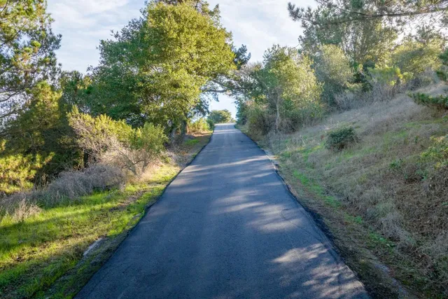 a view of a pathway with a park