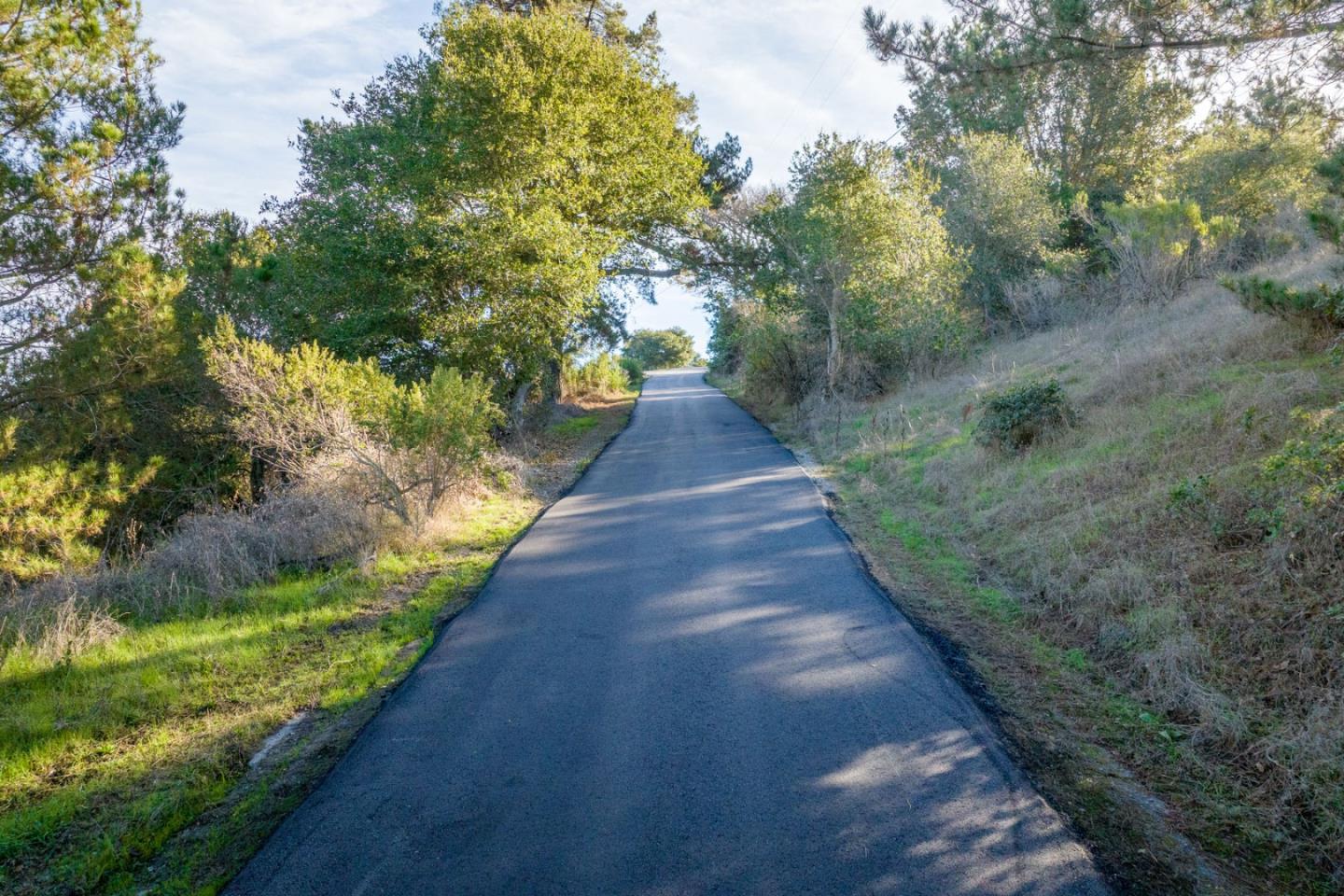 19378 Oak Ridge Drive Aromas, CA 95004 - Photo 7 of 10 a view of a pathway with a park