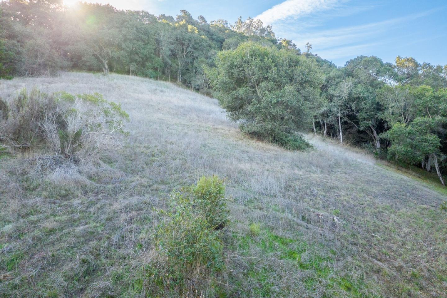 19378 Oak Ridge Drive Aromas, CA 95004 - Photo 8 of 10 a view of a dirt road with trees in the background