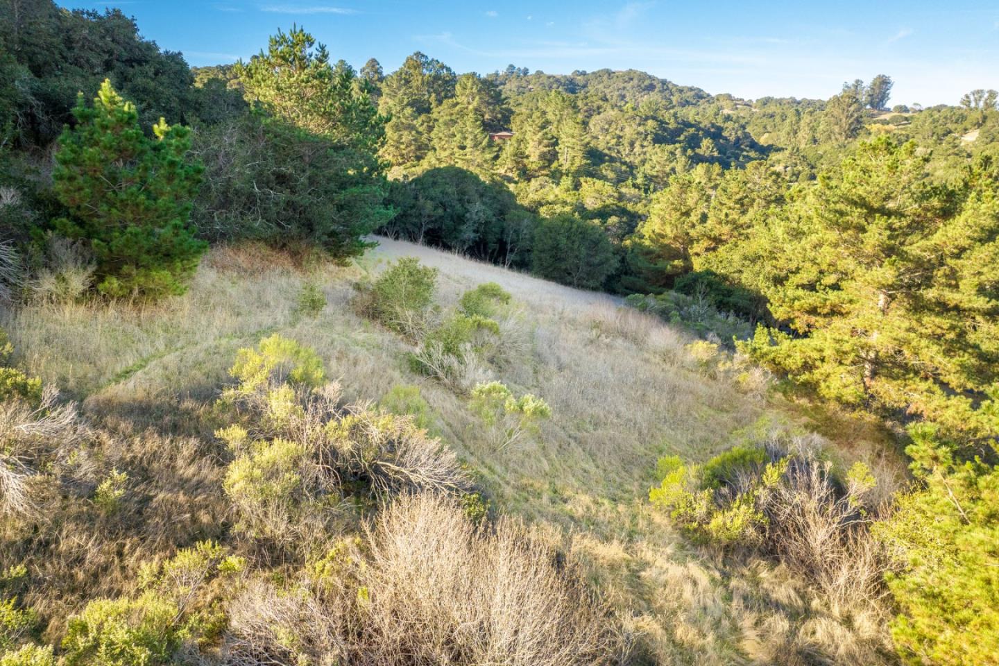 19378 Oak Ridge Drive Aromas, CA 95004 - Photo 10 of 10 a view of a yard with a tree