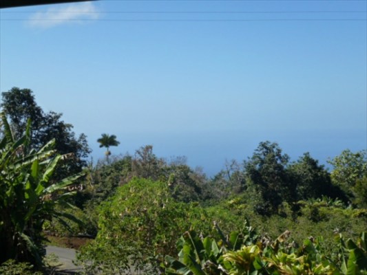 82-1225 Kinue Road Captain Cook, HI 96704 - Photo 5 of 25