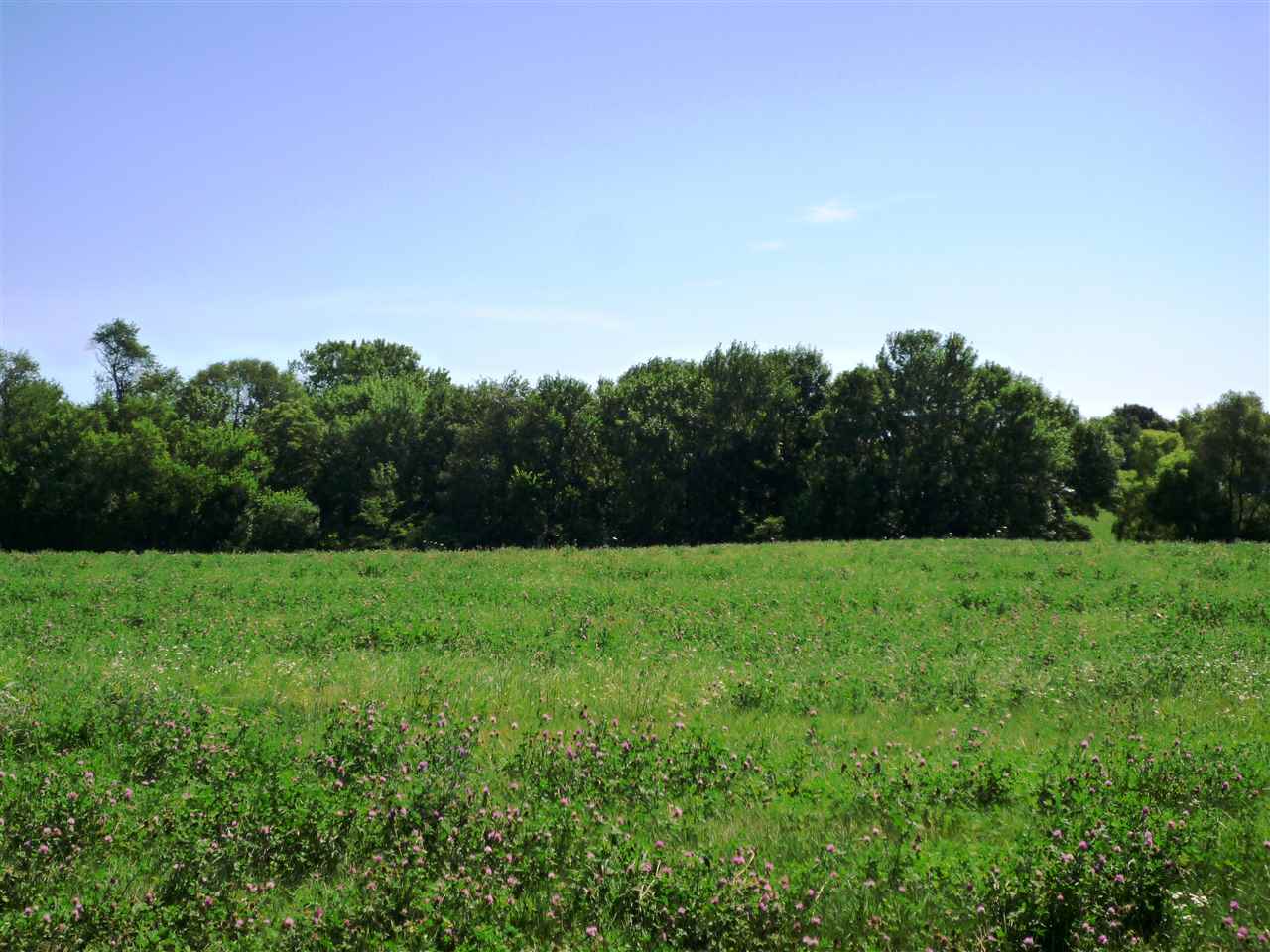 Lot 48 Stone Ridge Estates Riverside, IA 52327 - Photo 1 of 5 Gallery Image 1