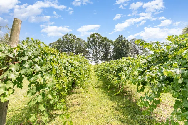 $1,050,000 | 9825 Hagers Road, Huntersville, NC 28078