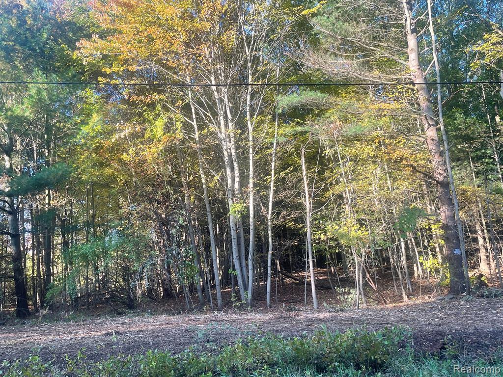 0 Mill Road Dryden, MI 48428 - Photo 14 of 18