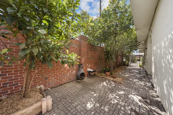a view of a yard with plants and trees