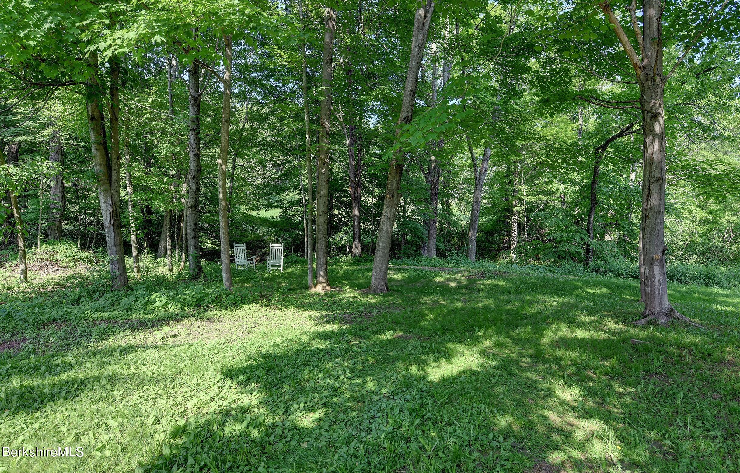 239 Brewer Hill Road New Marlborough, MA 01244 - Photo 33 of 34 33-Back-Yard