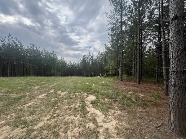 $85,000 | 36 Pafford Lane, Erin, TN 37061