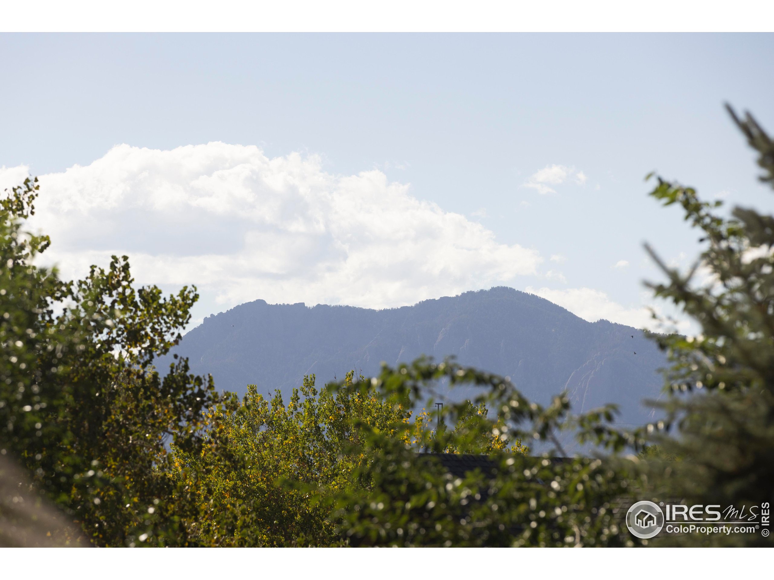 8003 Sagebrush Court Boulder, CO 80301 - Photo 36 of 37