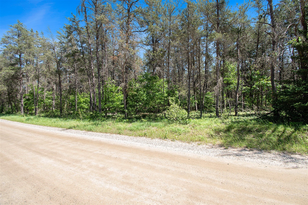 V/l(2.07-a) Deep Wood Road St. Helen, MI 48656 - Photo 17 of 20