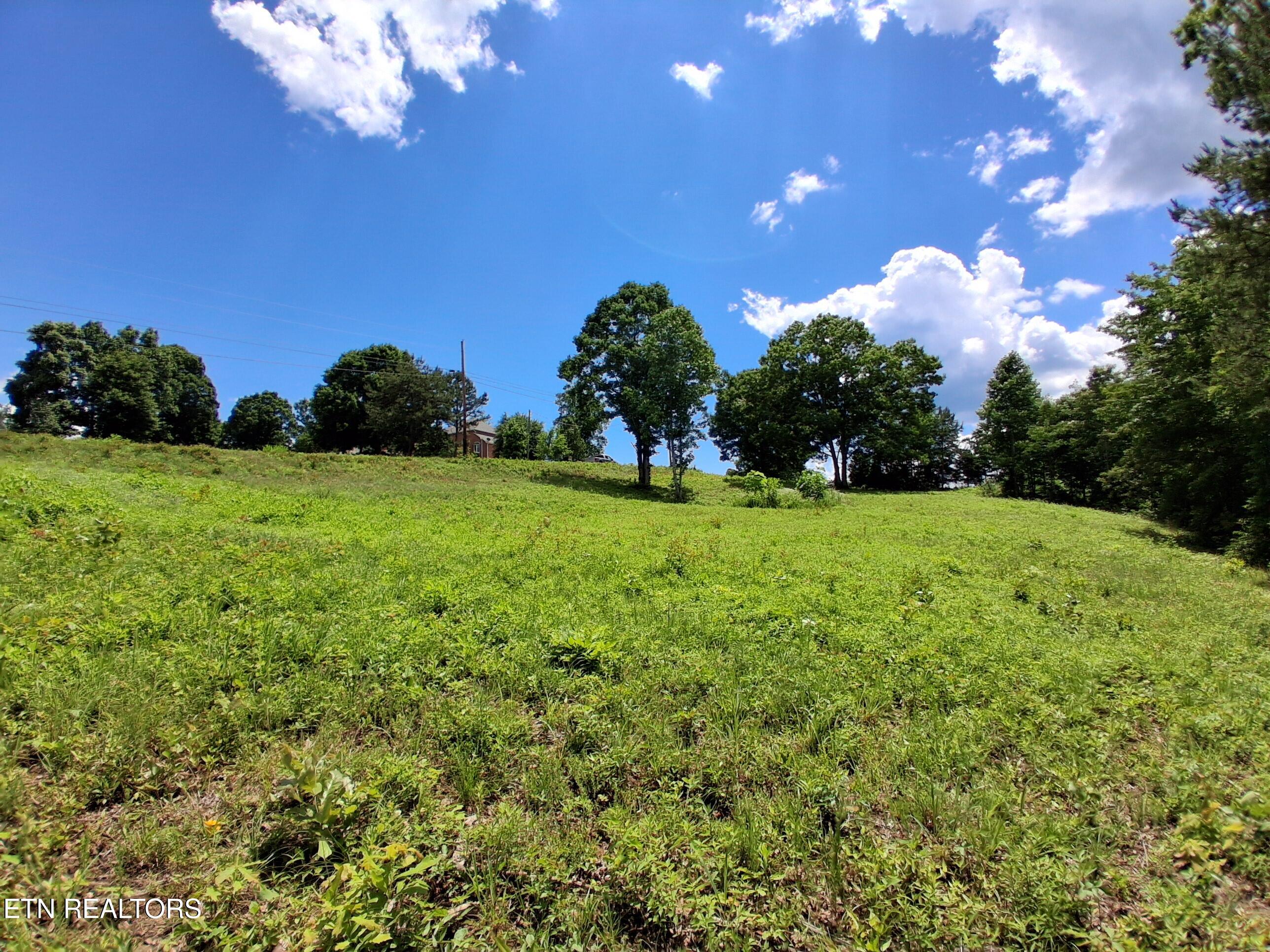 336 Woodstock Drive Rutledge, TN 37861 - Photo 5 of 8 20260602_143945