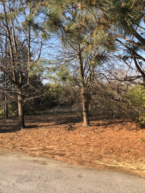 121 Eagle Road North Augusta, SC 29860 - Photo 3 of 5 Gallery Image 3