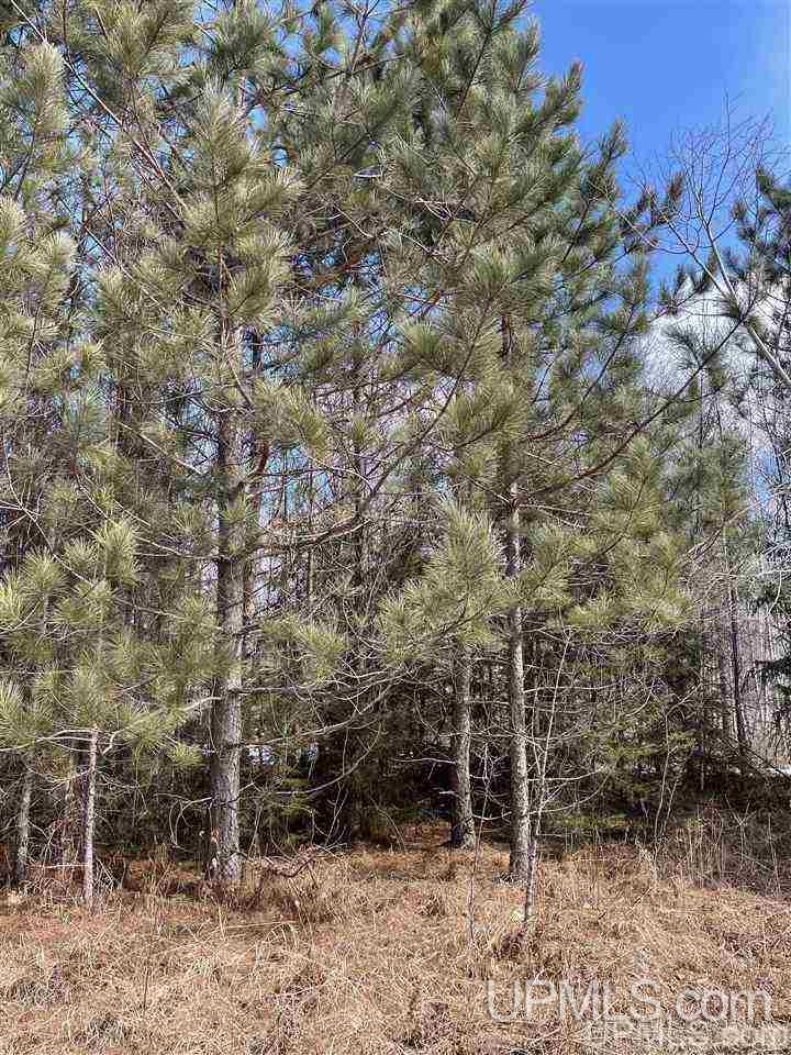 Tbd Tbd Co Road, Unit 1 Marquette, MI 49855 - Photo 43 of 50