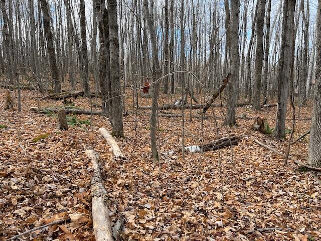 0 South Whitman School Road Buckfield, ME 04220 - Photo 12 of 12 IMG_3700 (2)