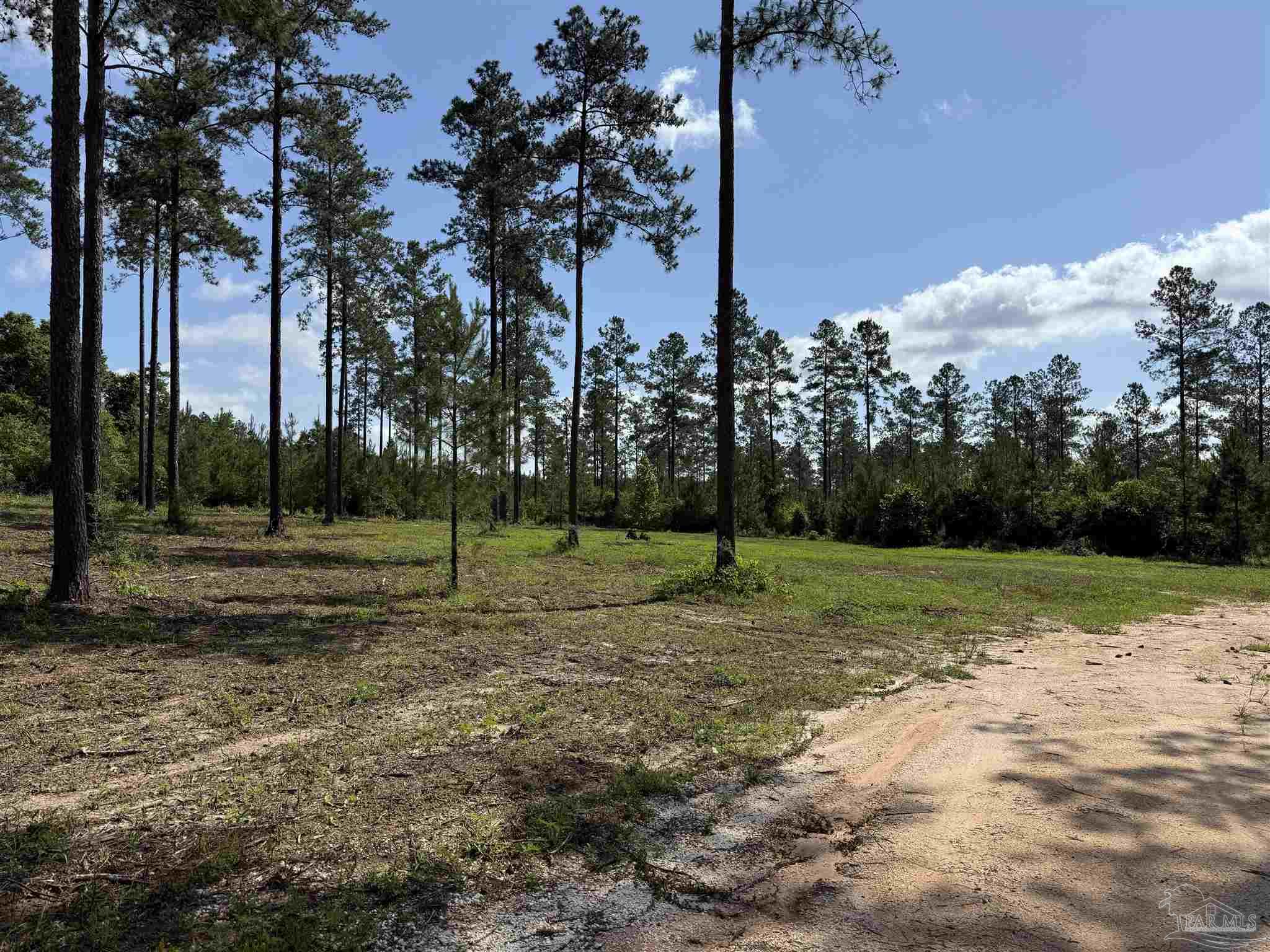 8450 Robinsonville Road Atmore, AL 36502 - Photo 1 of 19