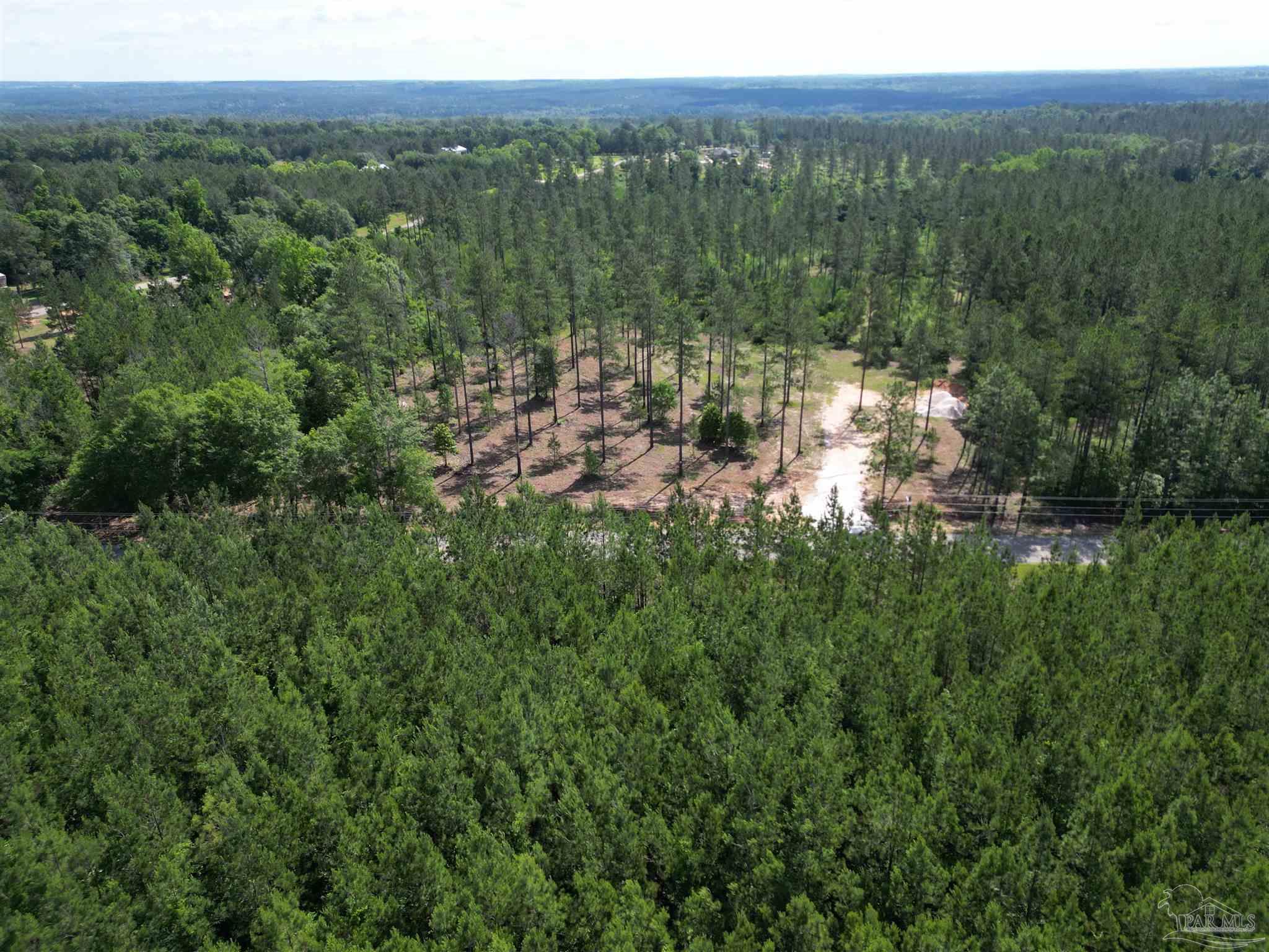 8450 Robinsonville Road Atmore, AL 36502 - Photo 11 of 19