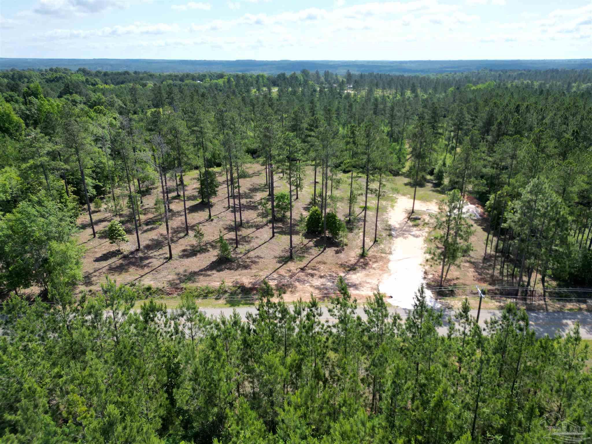 8450 Robinsonville Road Atmore, AL 36502 - Photo 13 of 19