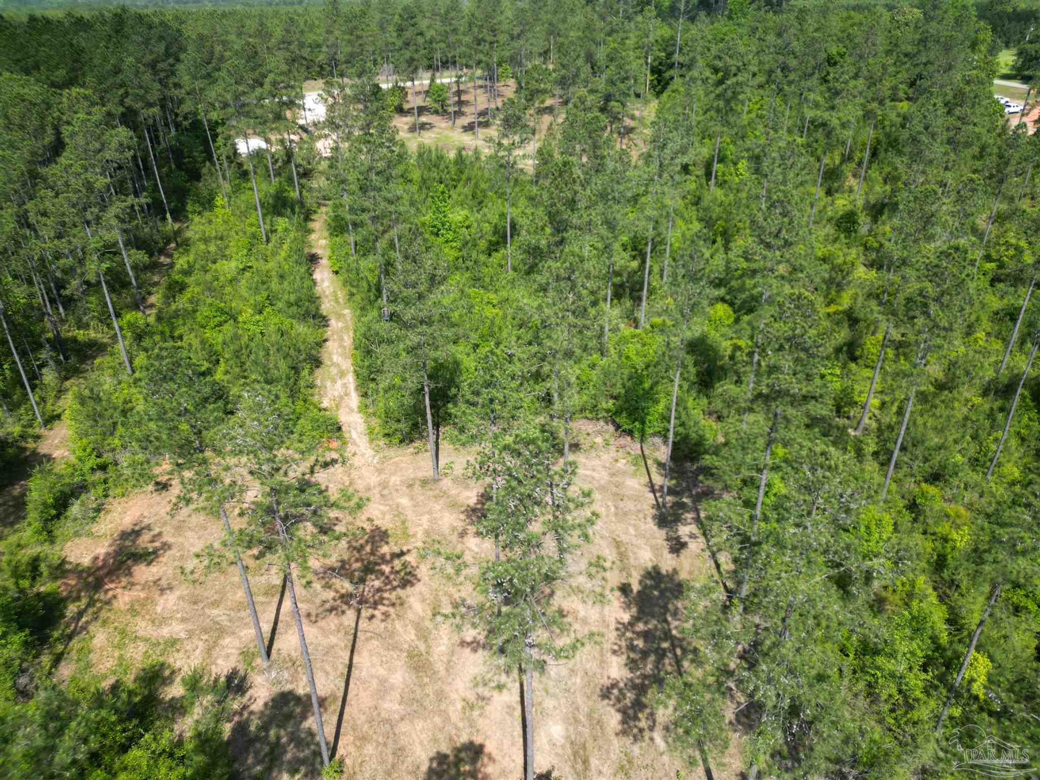 8450 Robinsonville Road Atmore, AL 36502 - Photo 15 of 19