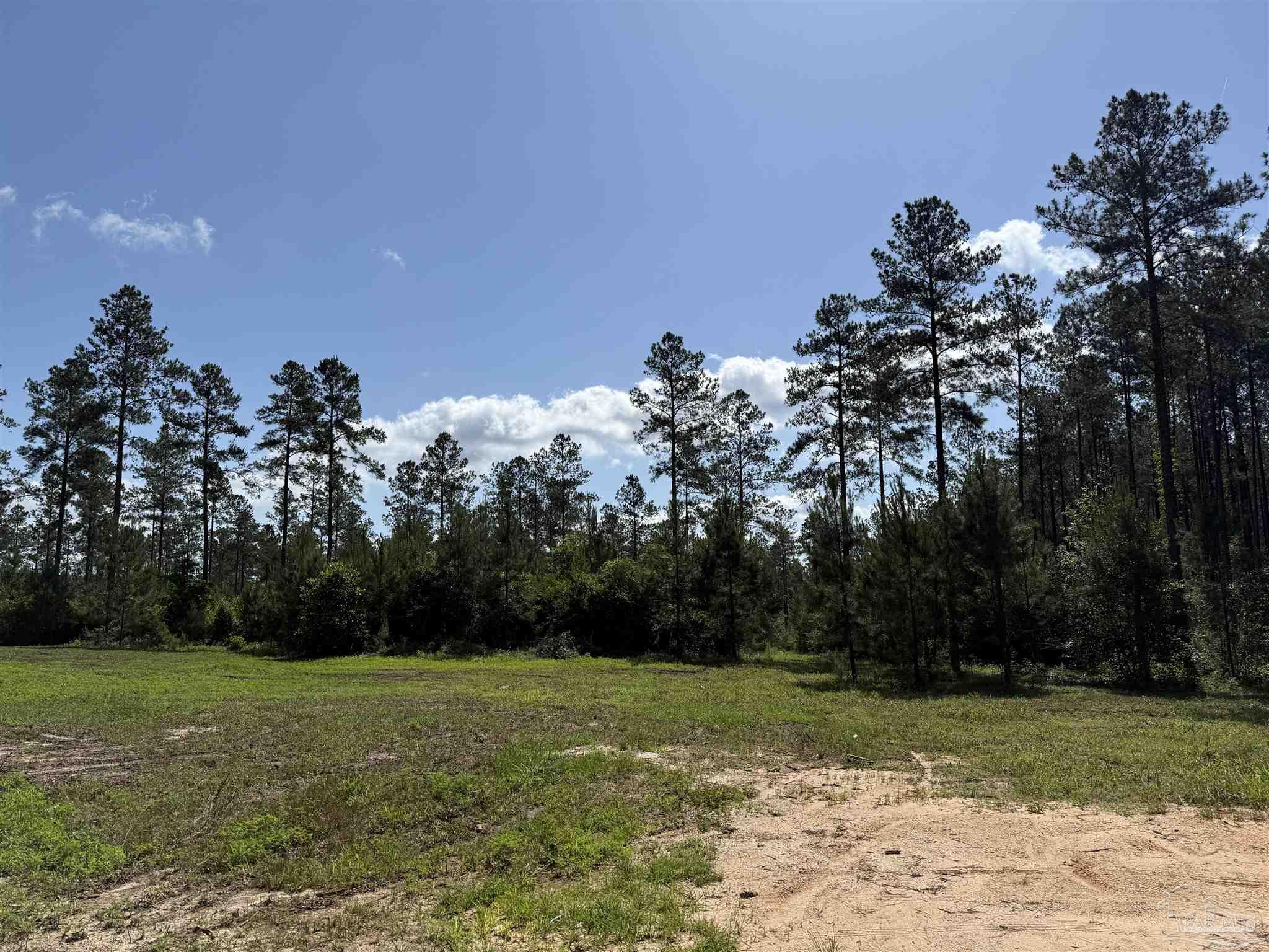 8450 Robinsonville Road Atmore, AL 36502 - Photo 4 of 19