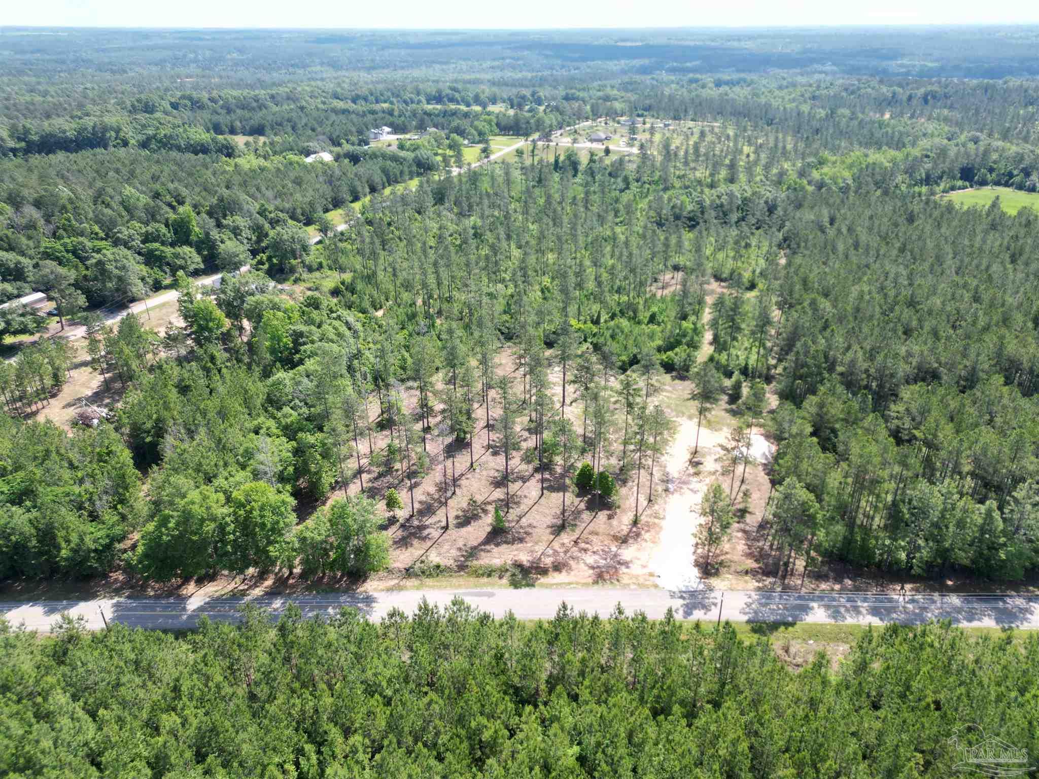 8450 Robinsonville Road Atmore, AL 36502 - Photo 5 of 19