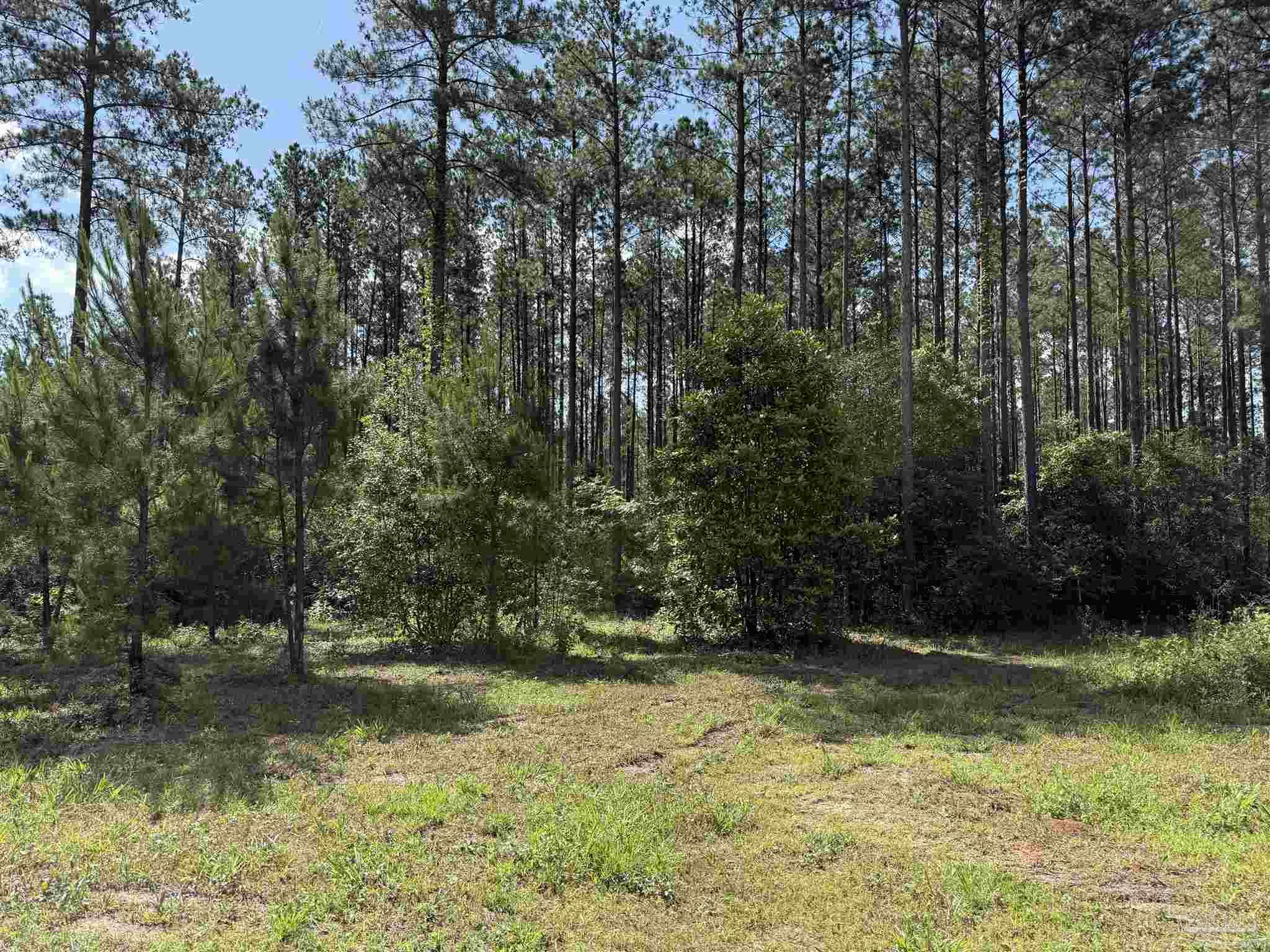 8450 Robinsonville Road Atmore, AL 36502 - Photo 6 of 19
