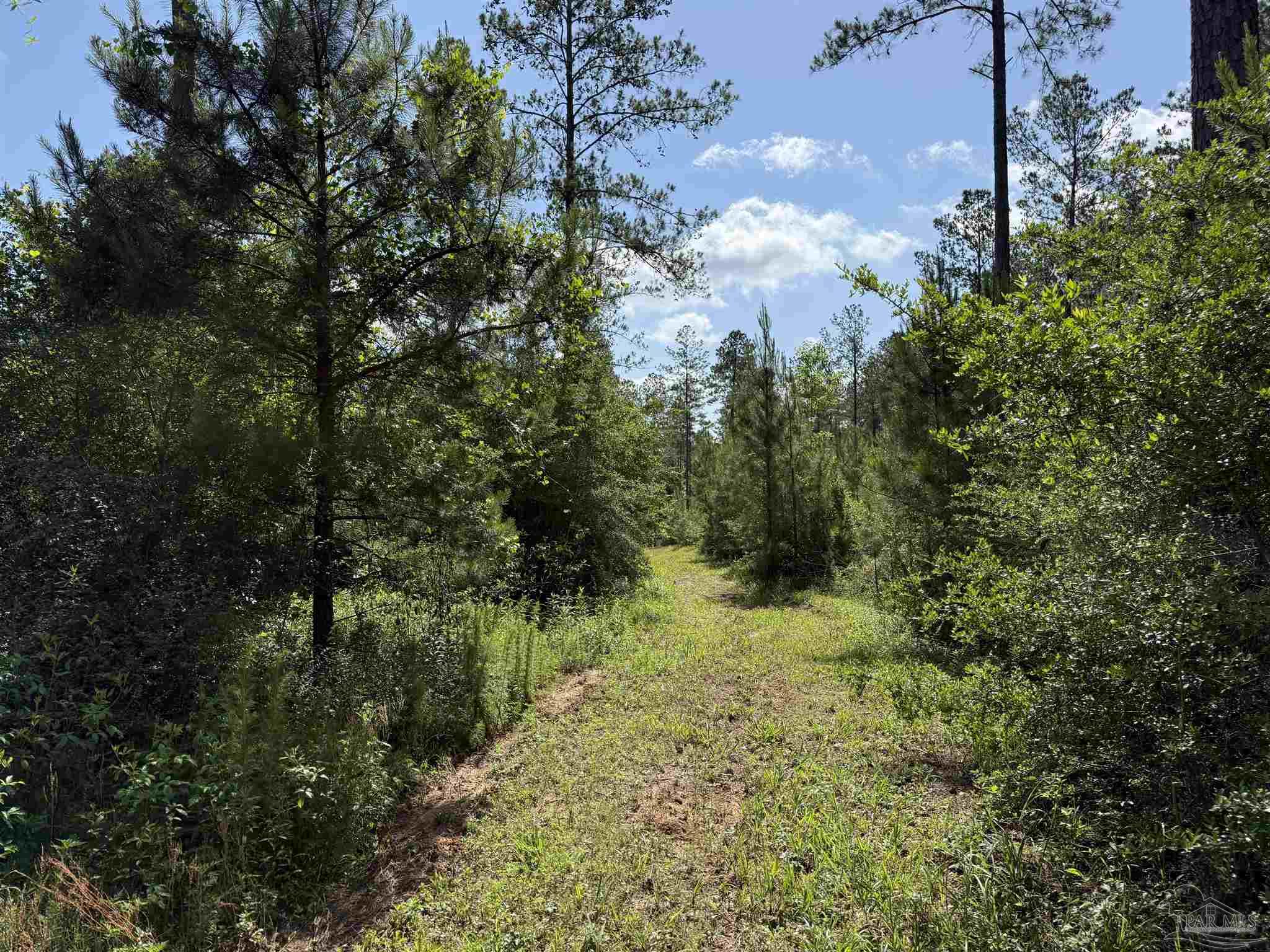 8450 Robinsonville Road Atmore, AL 36502 - Photo 7 of 19