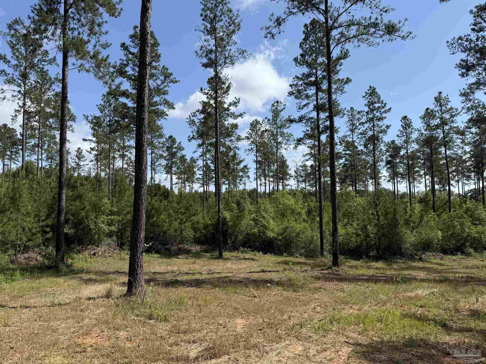 8450 Robinsonville Road Atmore, AL 36502 - Photo 9 of 19