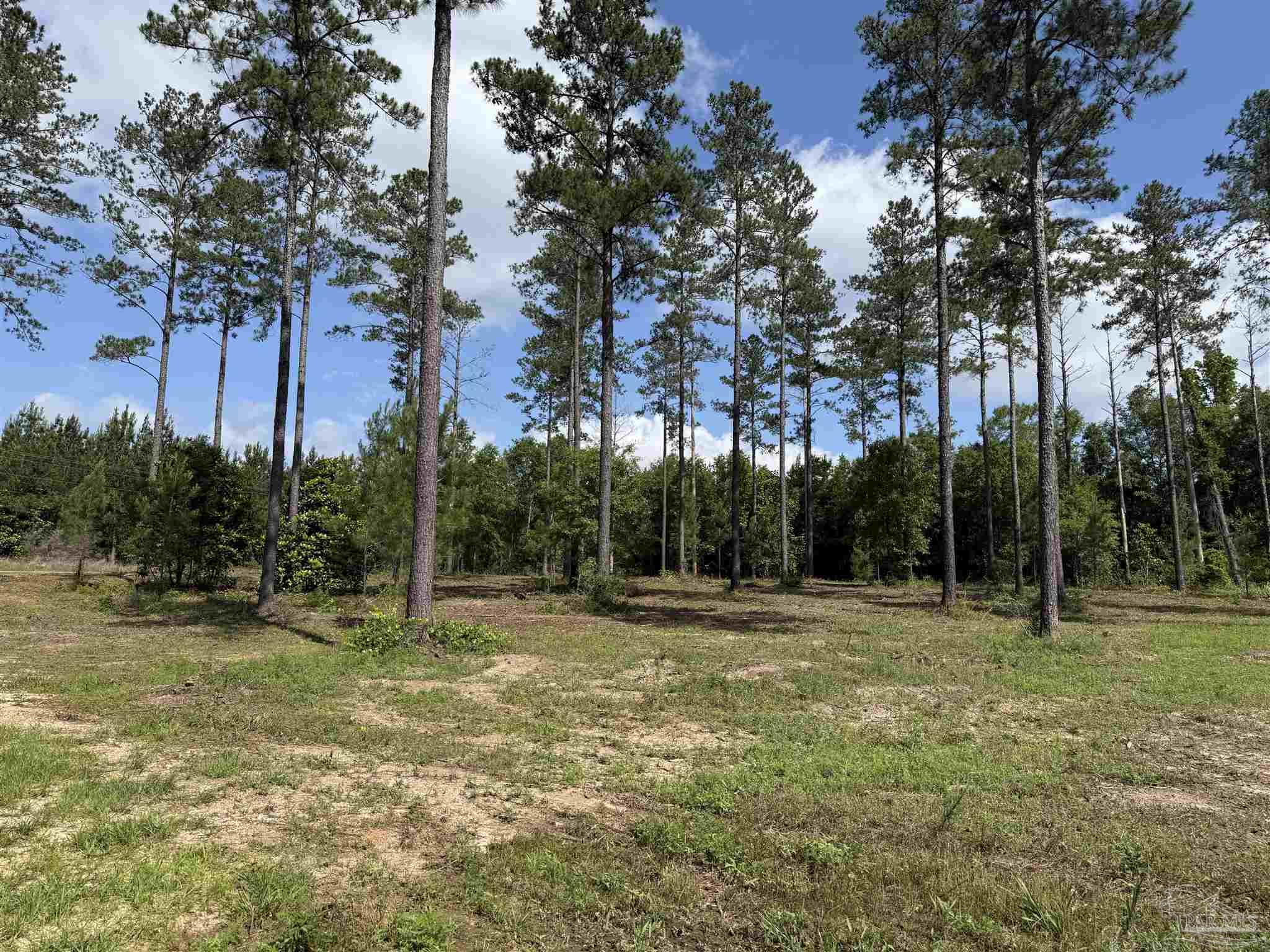 8450 Robinsonville Road Atmore, AL 36502 - Photo 10 of 19