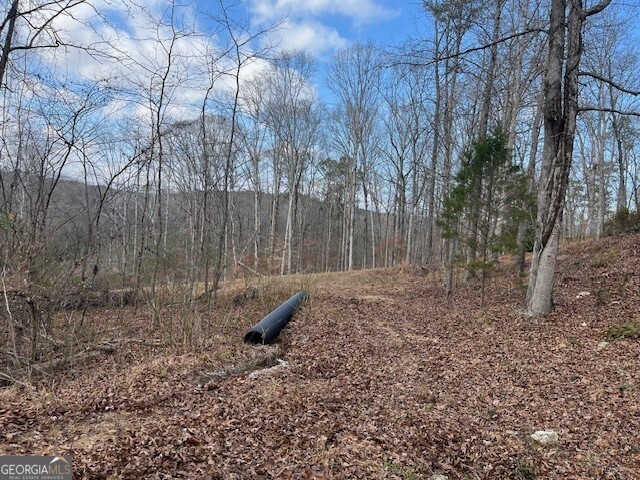 0 Mountain Creek Drive Rome, GA 30161 - Photo 11 of 13 a backyard of a house with lots of green space
