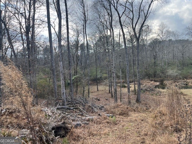 0 Mountain Creek Drive Rome, GA 30161 - Photo 13 of 13 a backyard of a house with lots of green space
