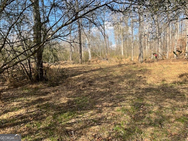 0 Mountain Creek Drive Rome, GA 30161 - Photo 2 of 13 a view of snow covered with snow