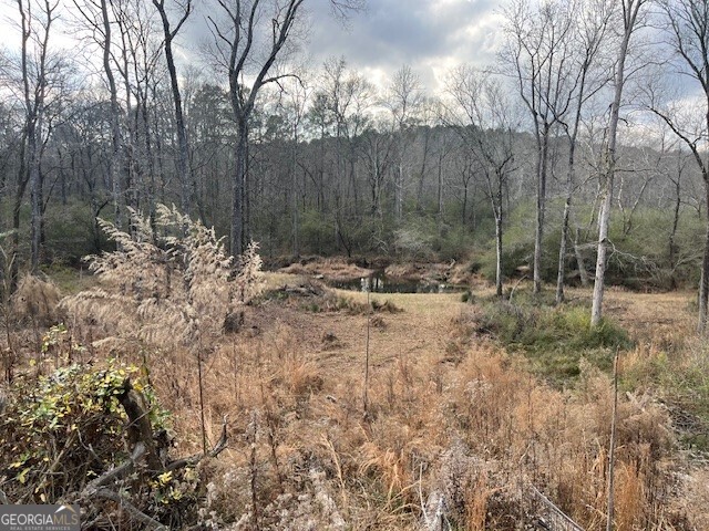 0 Mountain Creek Drive Rome, GA 30161 - Photo 3 of 13 a backyard of a house with lots of green space