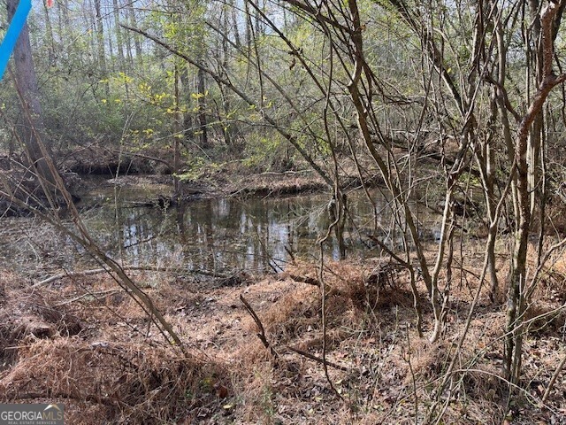 0 Mountain Creek Drive Rome, GA 30161 - Photo 4 of 13 a backyard of a house with lots of green space