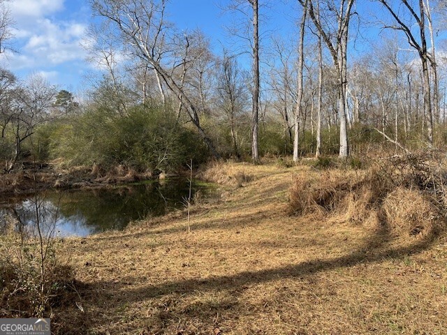 0 Mountain Creek Drive Rome, GA 30161 - Photo 5 of 13 a view of a yard next to a lake