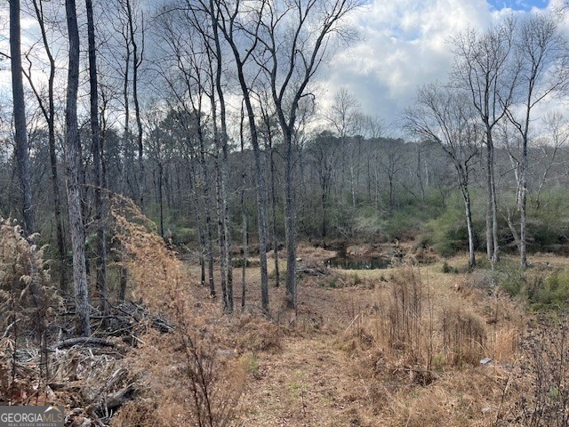 0 Mountain Creek Drive Rome, GA 30161 - Photo 7 of 13 a view of a forest with trees in the background
