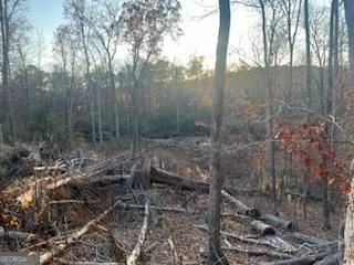 0 Mountain Creek Drive Rome, GA 30161 - Photo 8 of 13 a view of a forest filled with trees