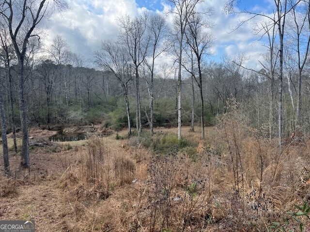 0 Mountain Creek Drive Rome, GA 30161 - Photo 9 of 13 a view of a forest