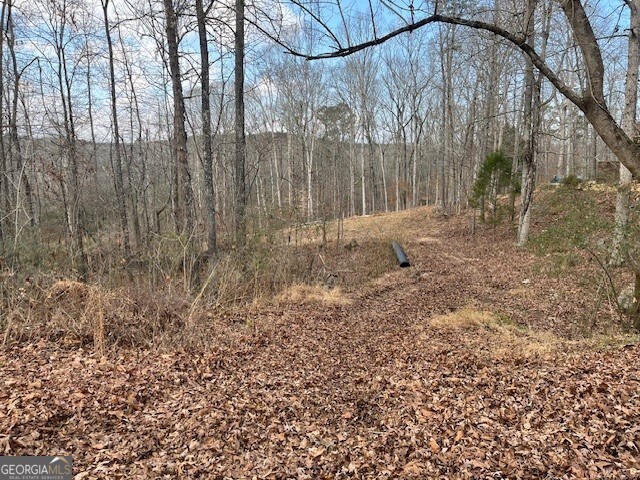 0 Mountain Creek Drive Rome, GA 30161 - Photo 10 of 13 a backyard of a house with lots of green space