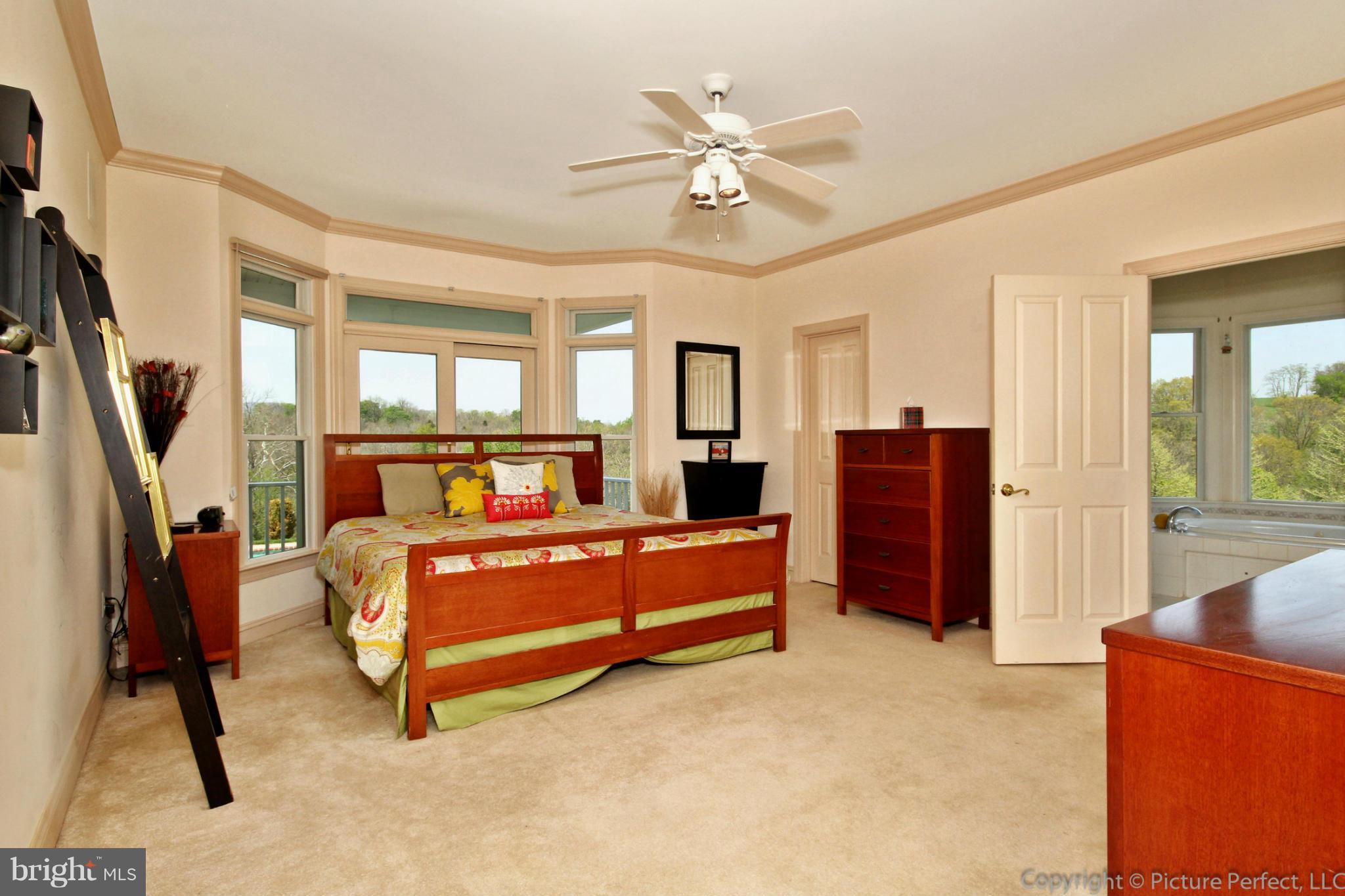 2130 Gapland Road Jefferson, MD 21755 - Photo 16 of 29 Bath (Master)