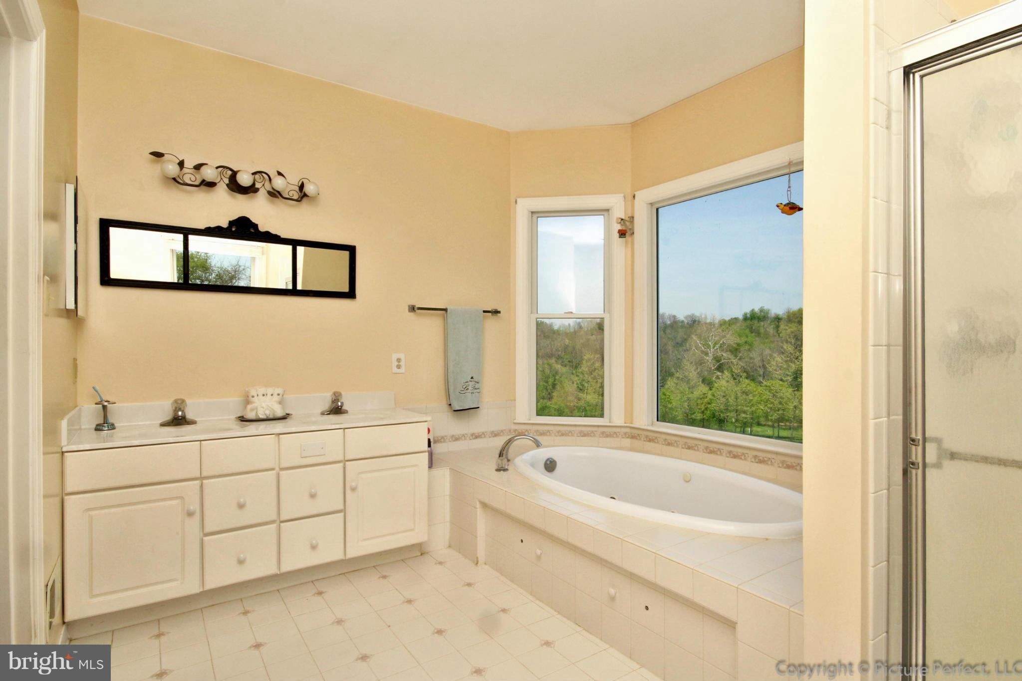 2130 Gapland Road Jefferson, MD 21755 - Photo 17 of 29 Bath (Master)