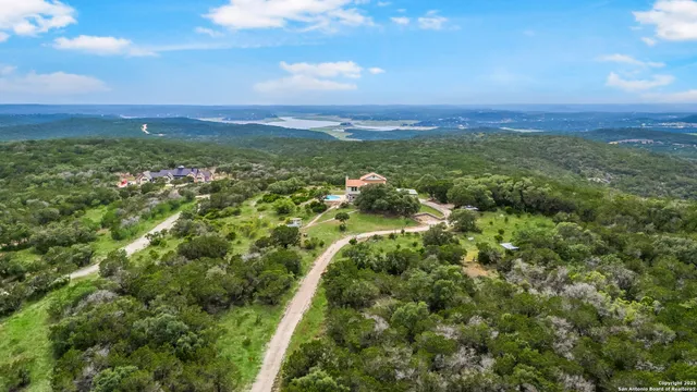 a view of a city with lush green forest