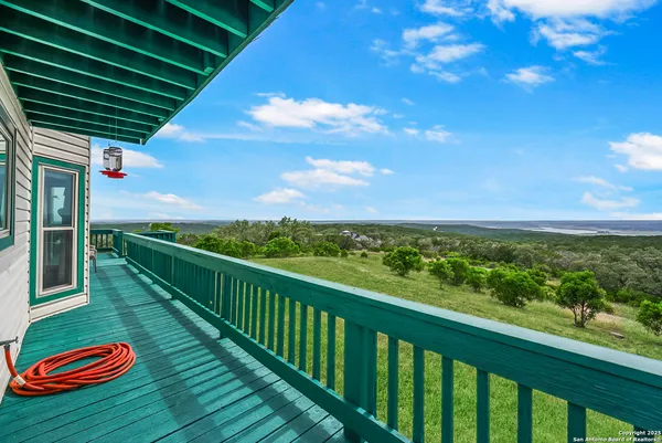 a view of a garden with a swimming pool