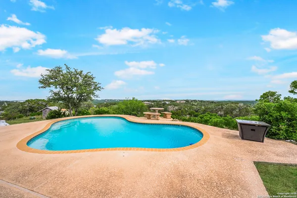 a view of a big yard with potted plants and a large tree
