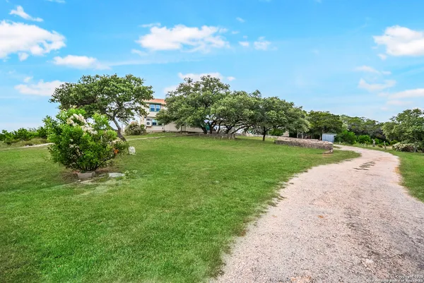 a view of a big yard with plants and large trees