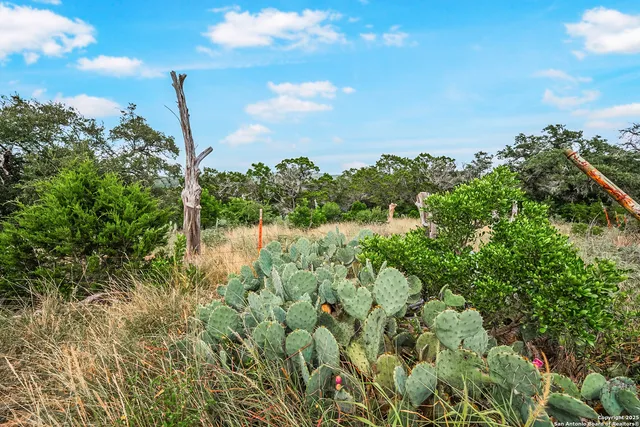 $925,000 | 1494 County Road 270, Mico, TX 78056