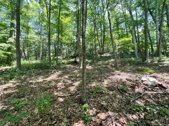 a picture of a bench in front of door
