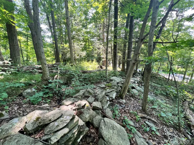 a view of outdoor space