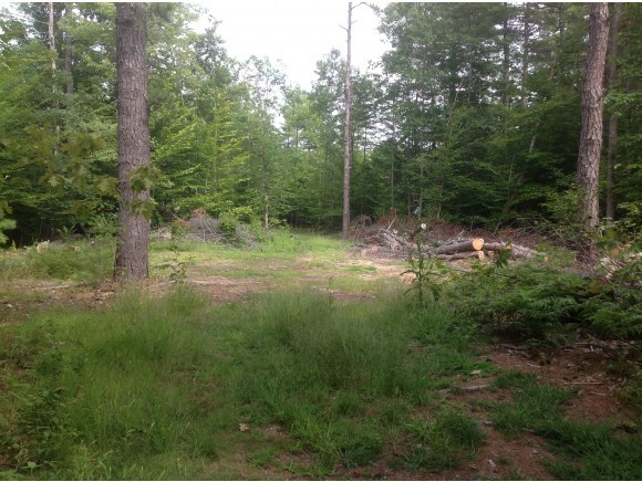 119 Dearborn Road Wakefield, NH 03830 - Photo 1 of 20
