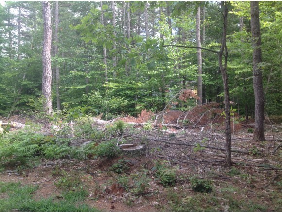 119 Dearborn Road Wakefield, NH 03830 - Photo 5 of 20