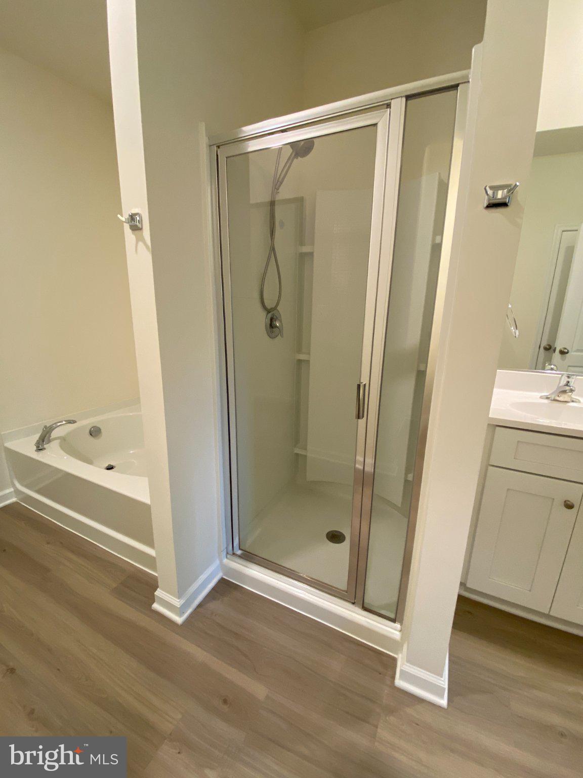 697 Rivanna Run Falling Waters, WV 25419 - Photo 18 of 44 a bathroom with a shower and a sink